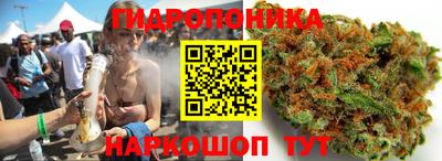 твердый Моздок