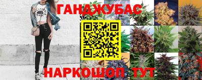 твердый Моздок
