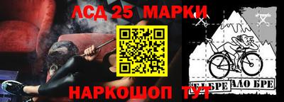 шишки Апшеронск