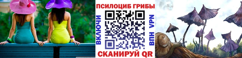 KRAKEN как войти  наркота  Унеча  Псилоцибиновые грибы ЛСД 