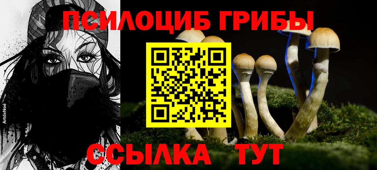 Унеча  Псилоцибиновые грибы мухоморы  Вход с VPN 