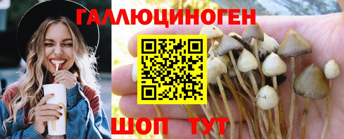 Галлюциногенные грибы MAGIC MUSHROOMS  Галлюциногенные грибы мухоморы  Унеча  Вход с VPN 